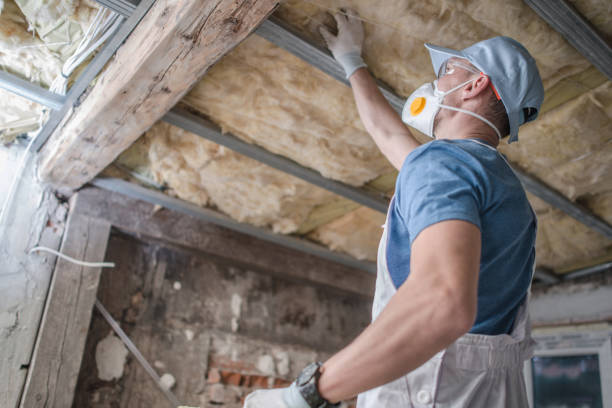 Best Insulation Inspection Services  in Sellersville, PA
