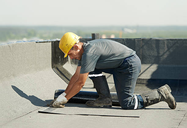Best Insulation Removal  in Sellersville, PA